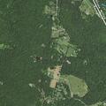 19-year-old male having seizure at Biscuit Mountain Rd