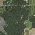 Tree blocking road near north 450 road in Baldwin City