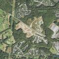 Loose cow reported on Old Marlboro Pike