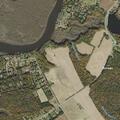 Person sick near Harmony Road in Preston, MD