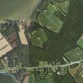 Person suffering stroke near Tilghman Island Road