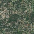 Person with respiratory issues near King Road
