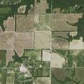 Male patient with genital white discharge near Elm Street in Iola