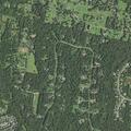 Tree damages house and blocks road in Gainesville