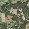 Minor fuel spill reported on Bayard Road