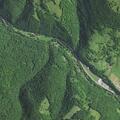 Man falls near Turner Lane in Pendleton County