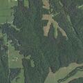 Neighbors accused of killing chickens at rural home
