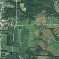 Loose horse reported on State Route 125