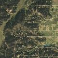 Noisy dog complaint on Black Mesa Circle