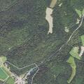 Elderly man falls near State Route 348
