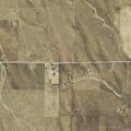 Elderly woman falls with possible broken leg near Big Springs Rd