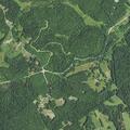 26-year-old female with altered mental status and suicidal threats