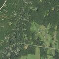 Man suffering alcohol withdrawal near Mountain Road
