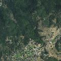 Person reported alive at medical call on American River Trail