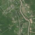 Loose dogs reported on roadway in Morning View
