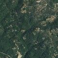 Person needing medical help at Bear Mountain Road