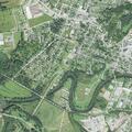 77-year-old man falls with knee pain and swelling in Elkins