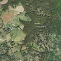Person with abdominal pain near Petersburg Road and Lynchburg Court