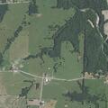 Deputies investigate possible home break-in on county road