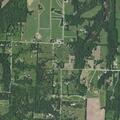 Loose bulls injure animal on rural property