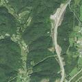Deer struck and left injured on roadway