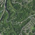 Report of youths near Bentwood Dr, none located