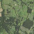 85-year-old woman with vaginal bleeding in Aldie