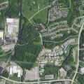 Loose dog running into traffic in Elsmere