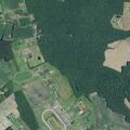 Person reported sick near Black Swamp Road