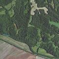Deer struck and found in ditch off Highway 40