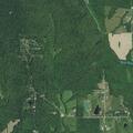 Loose dogs killing chickens at rural property