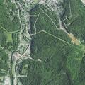 Elderly woman with frequent bathroom visits and back pain near Linden Avenue