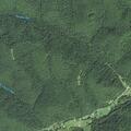 Person with abdominal pain on Pheasant Run Road