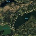 Deputy checks report of loose cattle near Grand Mesa