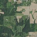 Tree reported near South Friendship Road in Milan