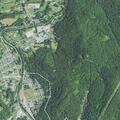 Littering reported at North Main recycling center