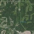 77-year-old woman with finger lacerations in Foley