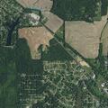 Woman with low blood sugar and vomiting in North Vernon