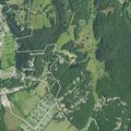 Woman falls inside residence, suffers ankle pain
