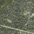 Person reporting chest pain near Mistwood Drive