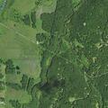 Sick 69-year-old female reported near Buck Run