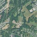 Elderly woman yelling for help in wooded area