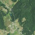 Car hits deer near county fairgrounds