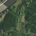 Two children possibly poisoned by hemlock plant