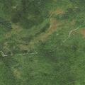 Welfare check near Canaan Loop Rd in Davis, WV