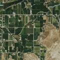 Injured bear reported at Palisade orchard