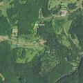 Tree blocking Buckhannon River Road