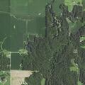 Child injured in four-wheeler accident with shoulder injury