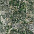 29-year-old woman with suicidal thoughts at Grand Junction