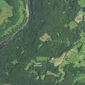 Animal complaint reported on Ketchum Road